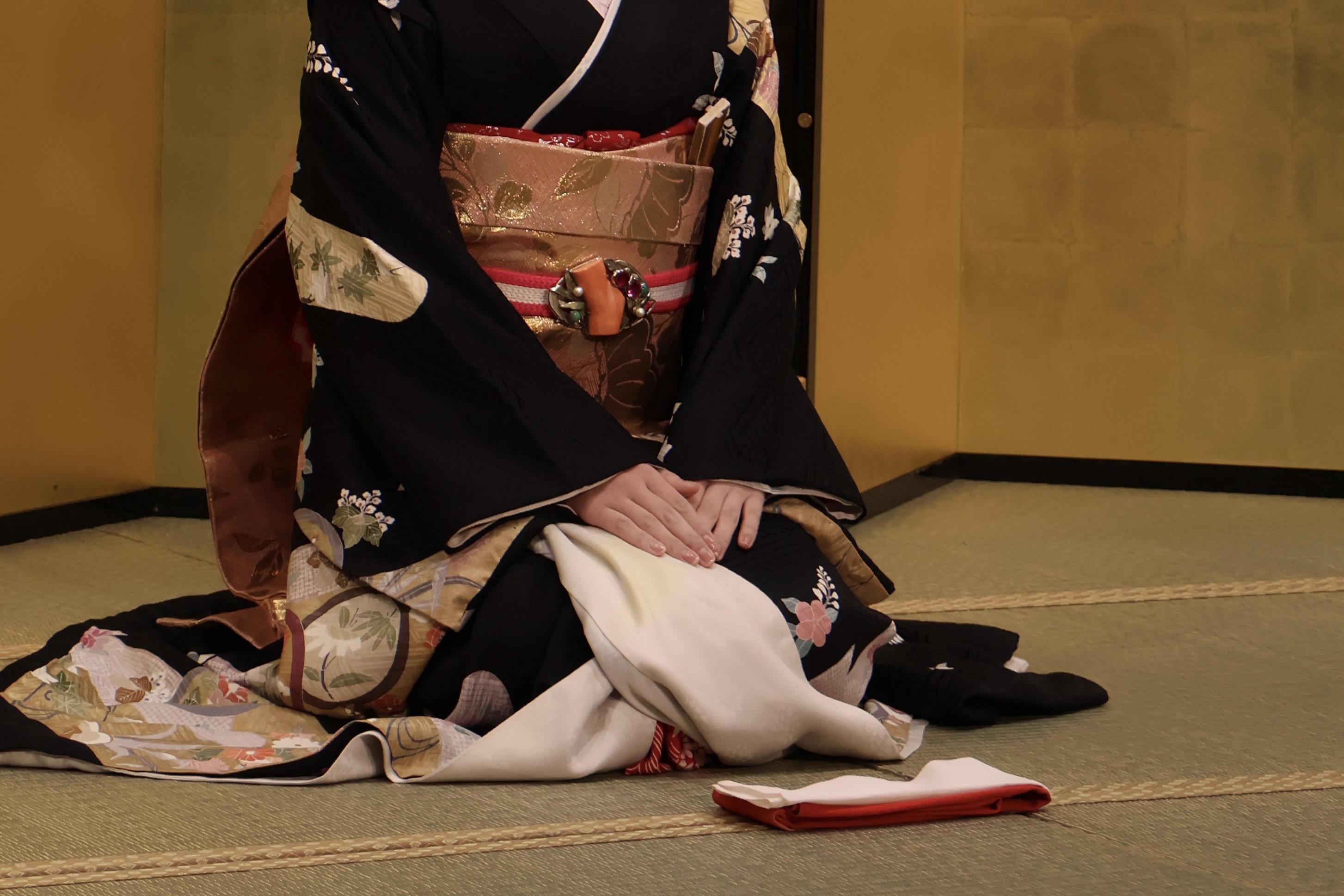 Maiko experience 2